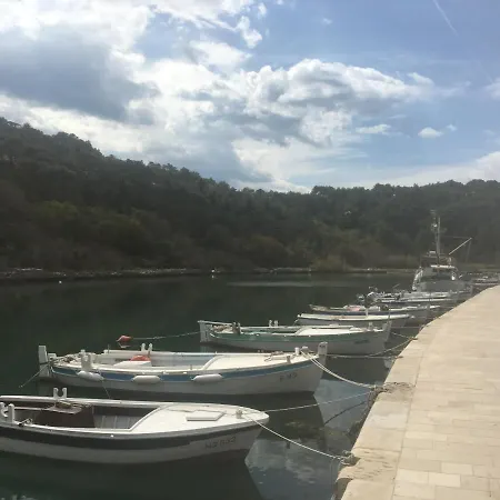 Seafront Riva Apartment Novigrad (Dalmatia)